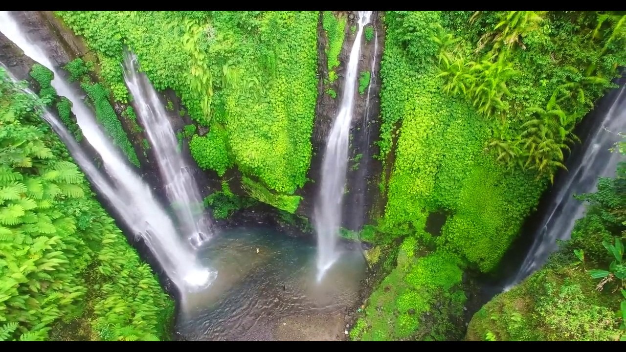 Sekumpul Waterfall Trekking, Sekumpul Waterfall Trekking, My Bali Trekking Tours