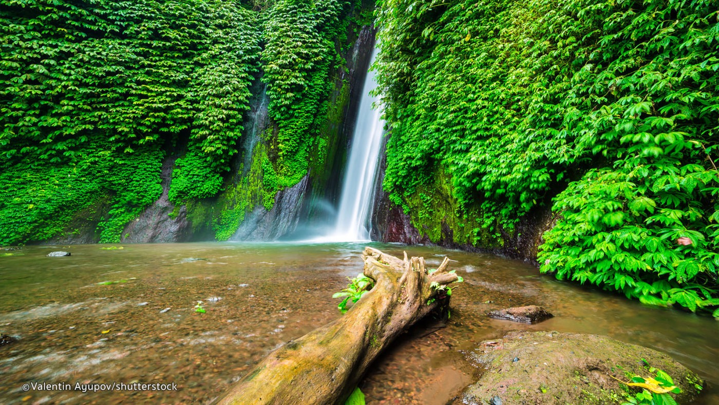 Munduk Waterfall Trekking, Munduk Waterfall Trekking, My Bali Trekking Tours